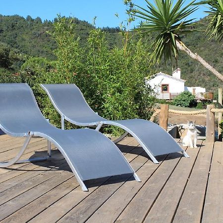 Vida Pura Guesthouse Odeceixe Kültér fotó