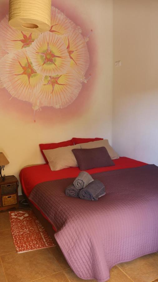 Vida Pura Guesthouse Odeceixe Kültér fotó